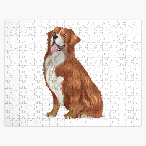 bernese mountain dog jigsaw puzzle