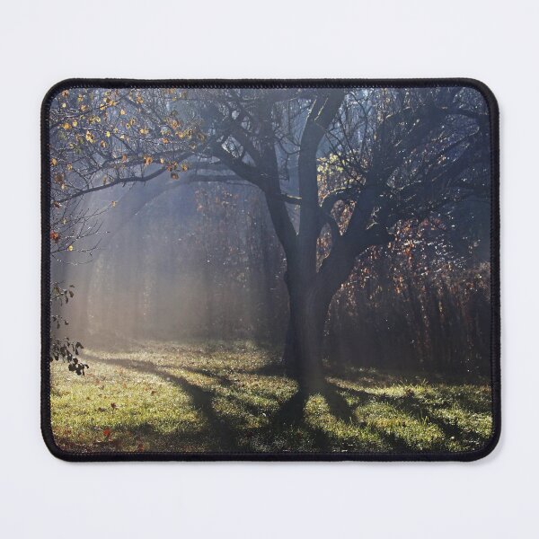 Item preview, Let The Light Shine designed and sold by Deb Oppermann.
