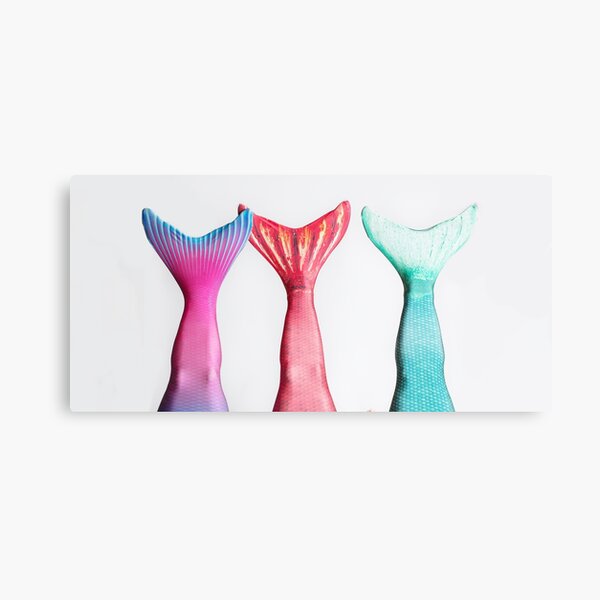 Three Mermaid Tails Canvas Print