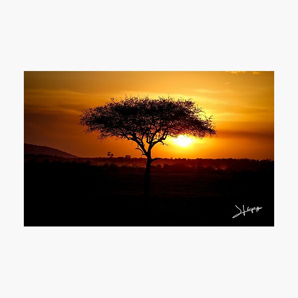 Sunset in Kenya Photographic Print