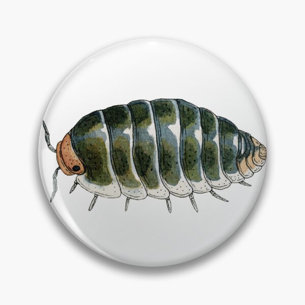 Item preview, Cubaris sp. "Pak Chong" designed and sold by paintedpansy.