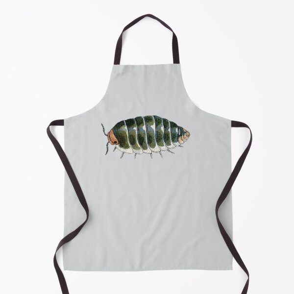 Item preview, Cubaris sp. "Pak Chong" designed and sold by paintedpansy.