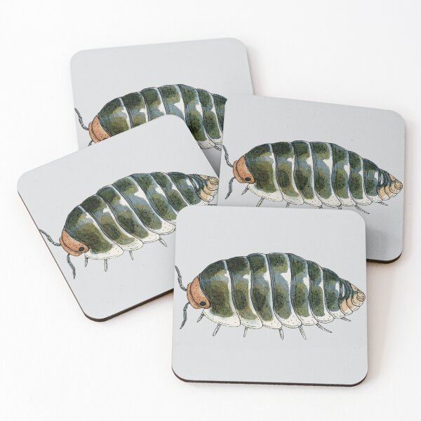 Item preview, Cubaris sp. "Pak Chong" designed and sold by paintedpansy.