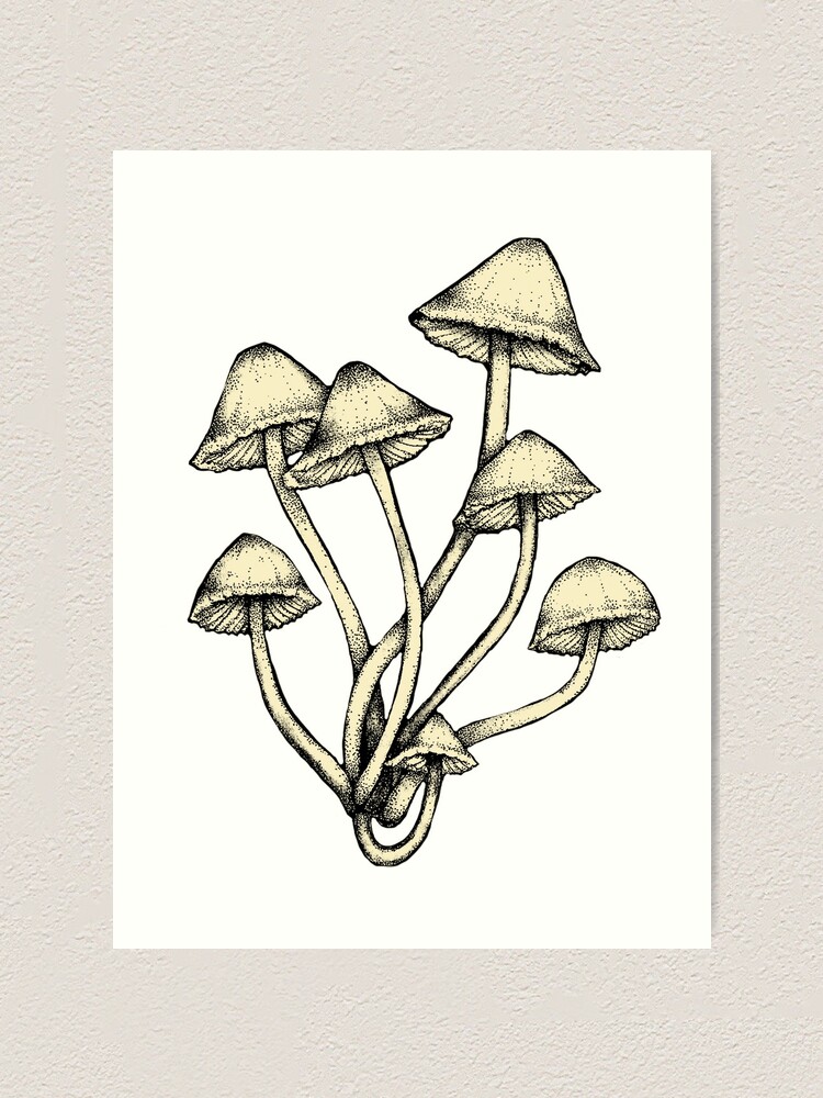 Mushrooms in a jar Black & White art Art Board Print for Sale by Studio135