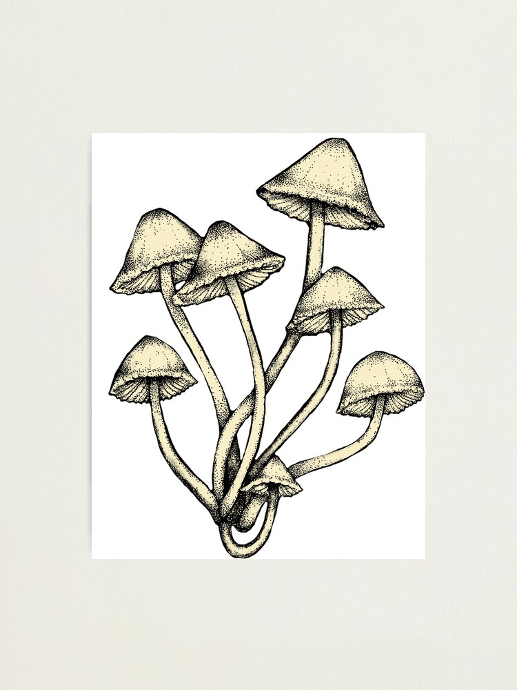black and white 1 mushrooms