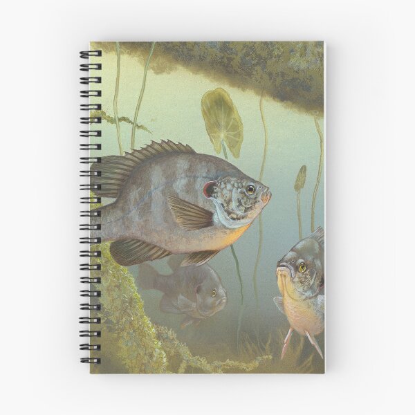 Item preview, Redear Sunfish (Lepomis microlophus) designed and sold by linggalibrary.