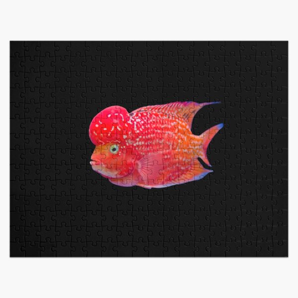 Cichlid Fish Jigsaw Puzzles for Sale