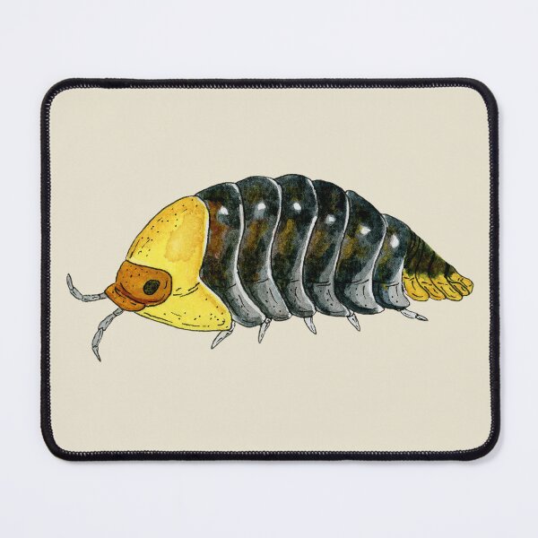 Item preview, Cubaris sp. "Rubber Ducky" designed and sold by paintedpansy.