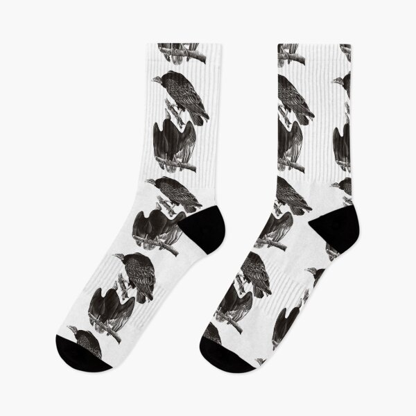 Item preview, turkey vultures study  designed and sold by armandea.