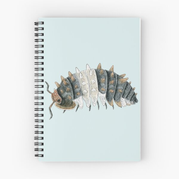 Item preview, Isopoda sp. "Thai Spiky" designed and sold by paintedpansy.