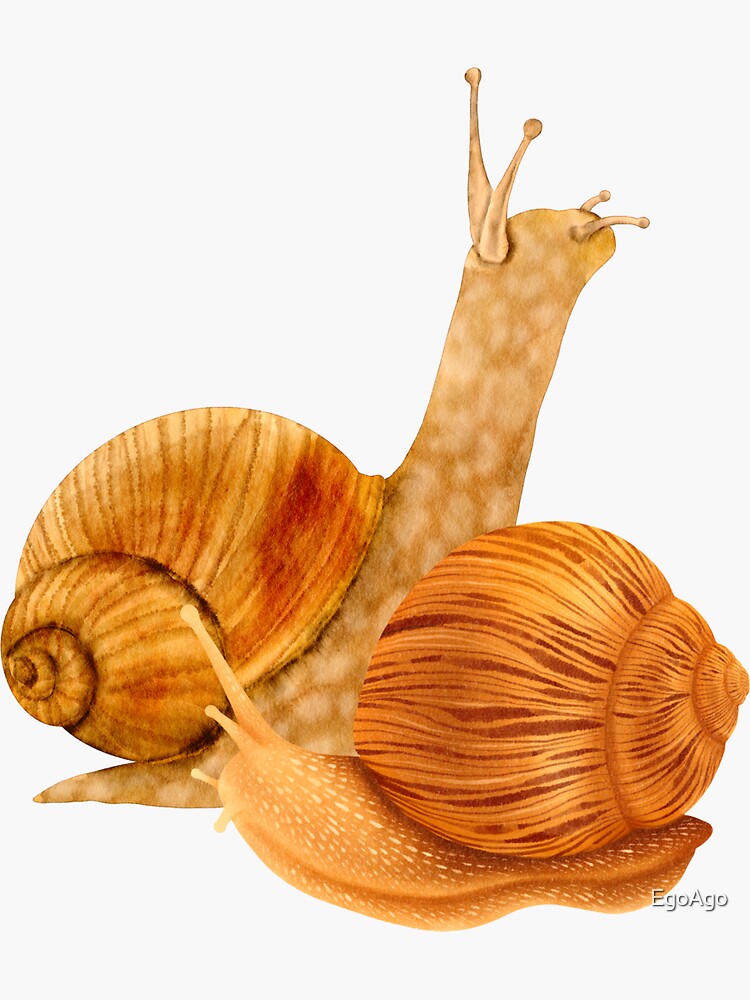 "SNAILS VINTAGE SNAIL RETRO SNAILS CUTE SNAIL STUFF!" Sticker for Sale