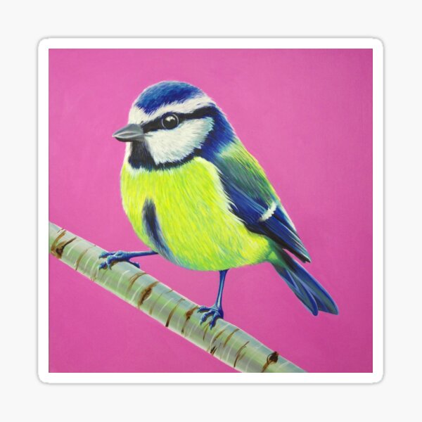 Blue Tit Sticker