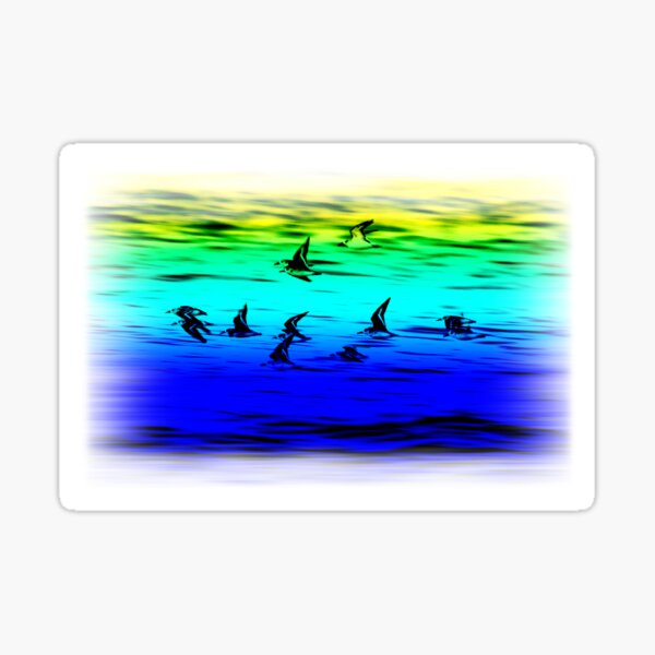 Sanderlings flying Sticker