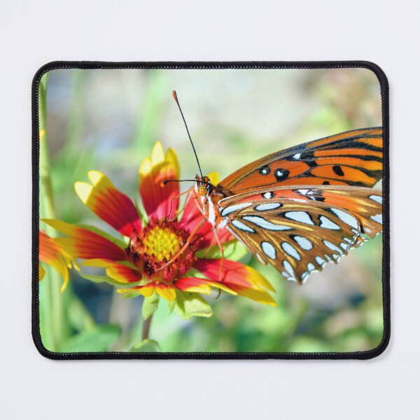 Item preview, Firewheel For Lunch designed and sold by What I See by Dawne.
