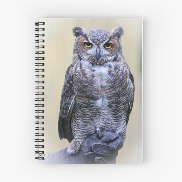 Item preview, Great Horned Owl Posing for His Portrait designed and sold by May Finch.