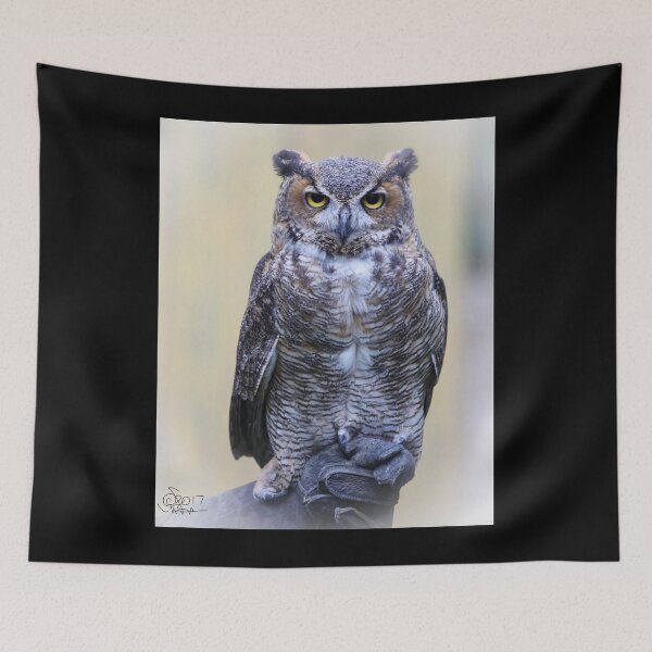 Item preview, Great Horned Owl Posing for His Portrait designed and sold by May Finch.