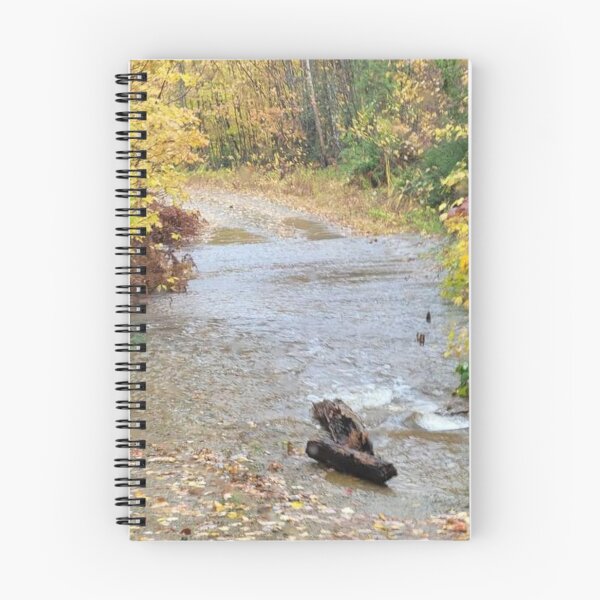 Item preview, Flowing Waters designed and sold by BellsPainting.