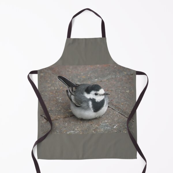 Item preview, Pied Wagtail on pavement Photograph designed and sold by naturegallery.