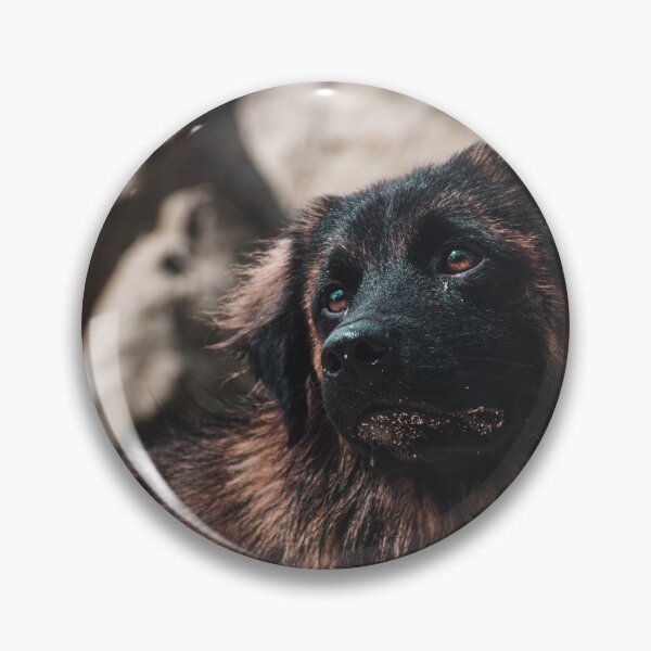 Item preview, Fernando Chien - Costa Rica - Photography designed and sold by Flo-Voyage.