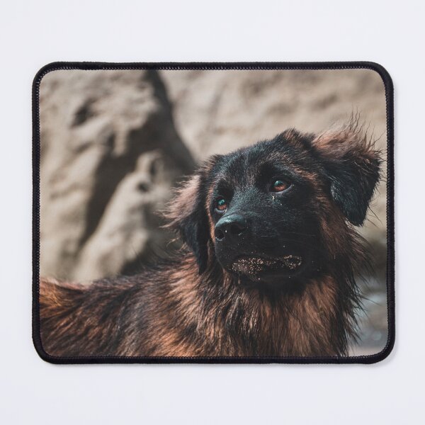 Item preview, Fernando Chien - Costa Rica - Photography designed and sold by Flo-Voyage.