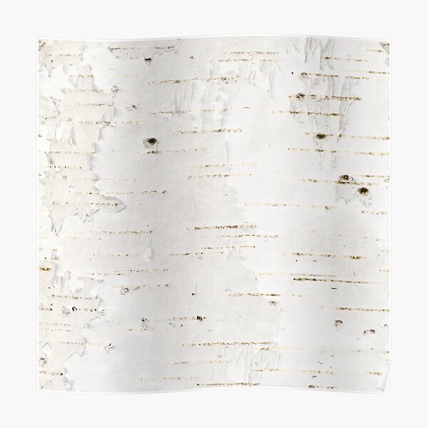 Birchbark Poster