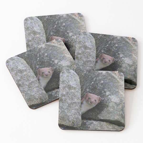 Item preview, Peek-a-boo! designed and sold by Julie Wilkinson.