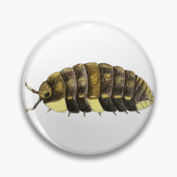 Item preview, Neotroponiscus lenkoi Isopod designed and sold by paintedpansy.