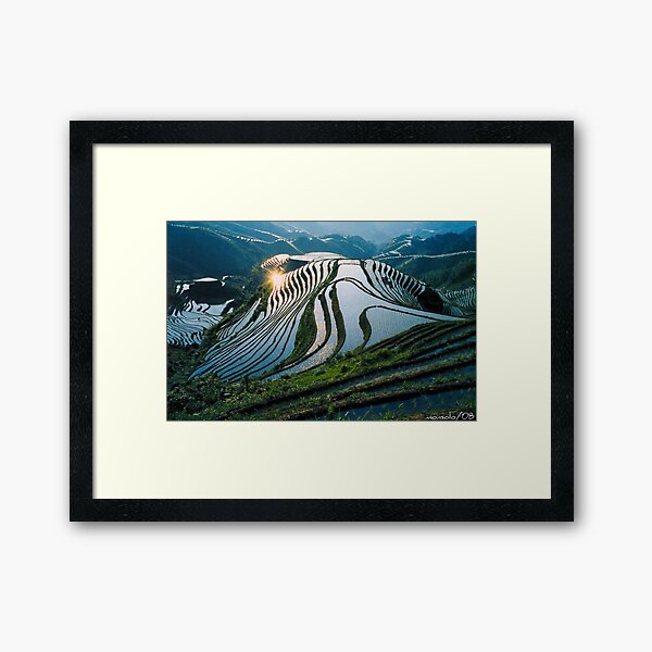 Rice Terraces 2(Banaue,Phil.) Framed Art Print