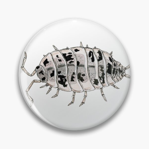 Item preview, Porcellio laevis "Dairy Cow" Isopod designed and sold by paintedpansy.