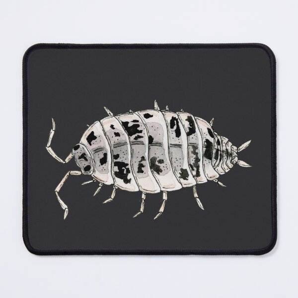 Item preview, Porcellio laevis "Dairy Cow" Isopod designed and sold by paintedpansy.