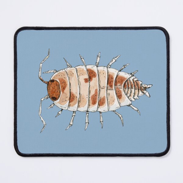 Item preview, Porcellionides pruinosus "Orange Cream" Isopod designed and sold by paintedpansy.