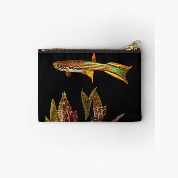 Item preview, Killifish mahdienses and Cryptocoryne moehlmannii designed and sold by killies.
