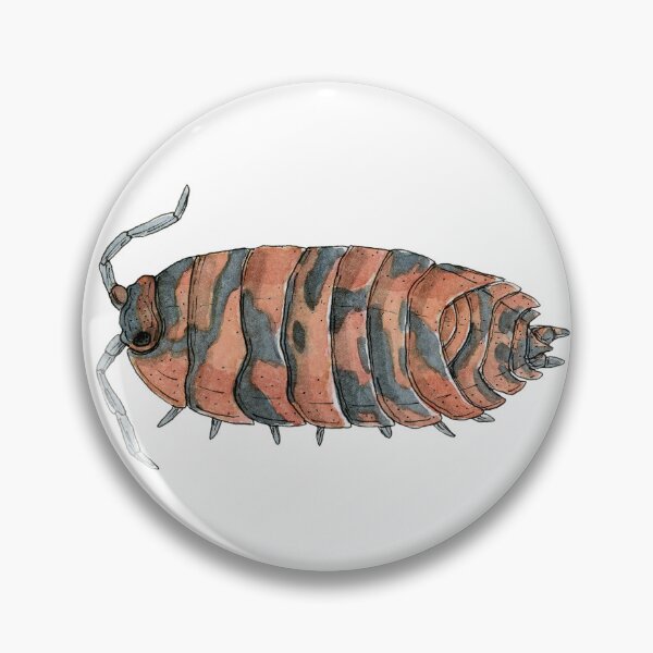 Item preview, Porcellio scaber "Lava" Isopod designed and sold by paintedpansy.
