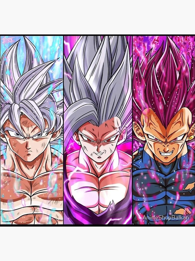 Dragon Ball Super/Z Poster Black Goku/Trunks Saga 12in x 18in Free