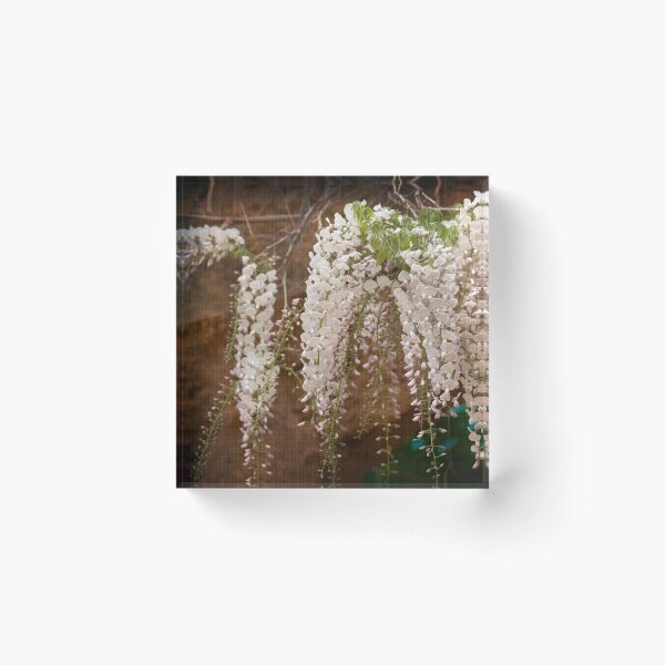Item preview, "Wisteria" designed and sold by Malcolm Heberle.