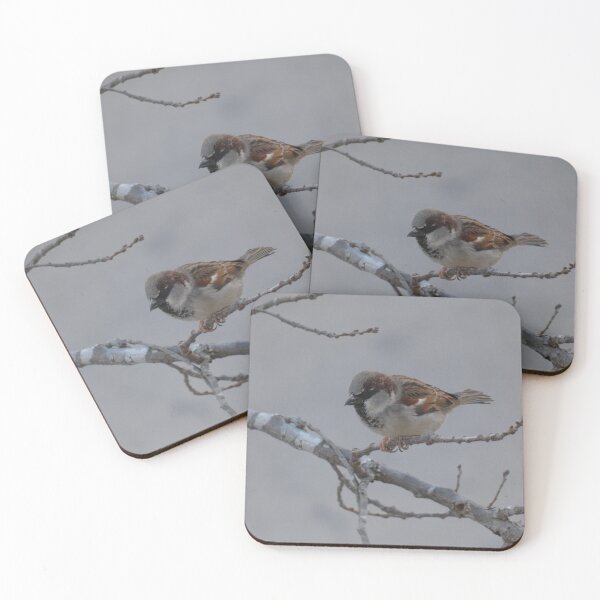 Item preview, Apartment Sparrow designed and sold by Birds-by-Bovi.