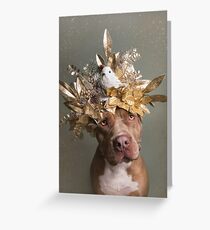 Flower Power, Chef Grußkarte