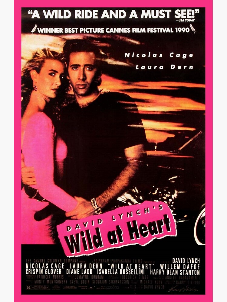 wild at heart streaming cage
