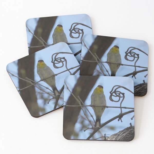 Item preview, Lesser Goldfinch at Longhorn Shores designed and sold by Birds-by-Bovi.