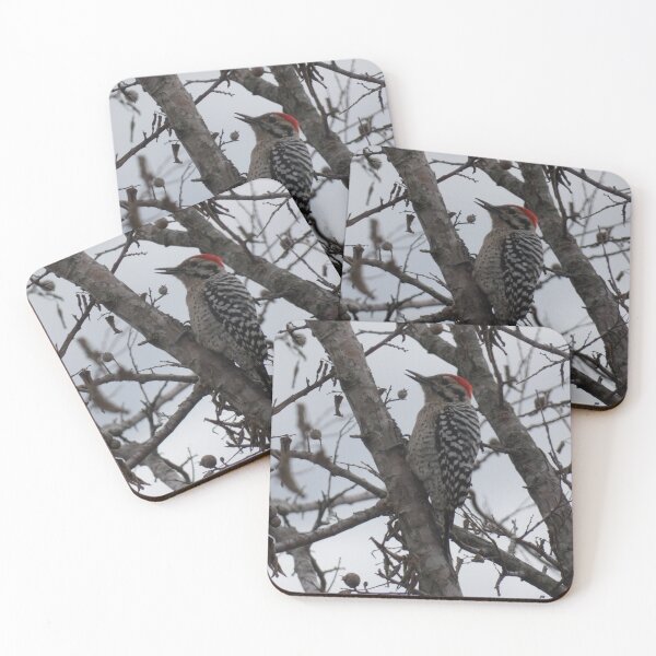 Item preview, Ladder-backed Woodpecker designed and sold by Birds-by-Bovi.