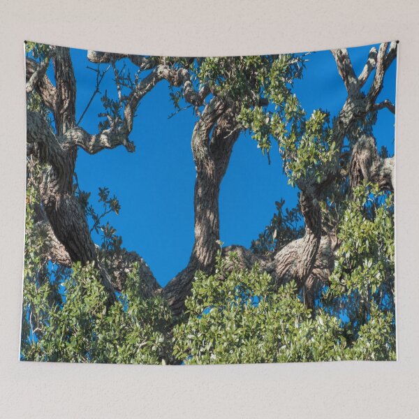 Item preview, Magnificent Oak Tree designed and sold by NC NatureVisions.