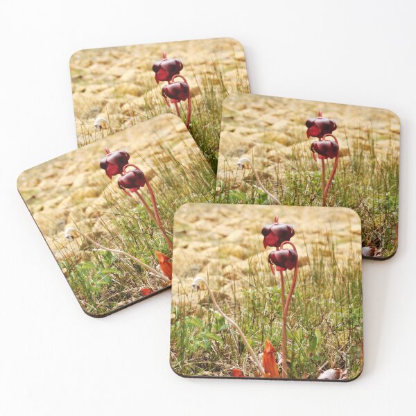 Item preview, Purple Pitcher Plant designed and sold by HannahWileyy.