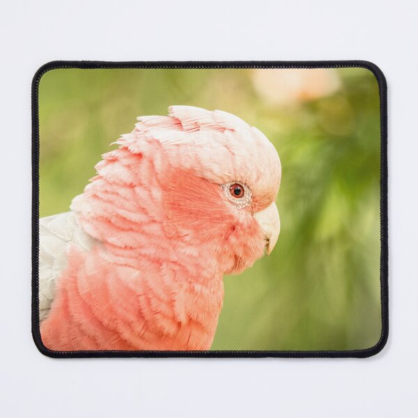 Item preview, Portrait Pink and Grey Galah Australia designed and sold by Images by Chris de Blank.
