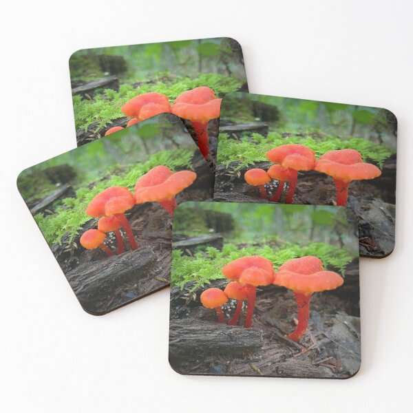 Item preview, Mushrooms of Maine designed and sold by lpollaro.