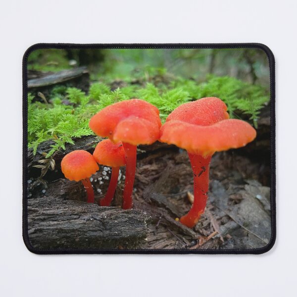 Item preview, Mushrooms of Maine designed and sold by lpollaro.