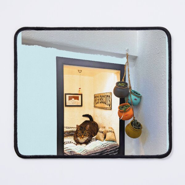 Item preview, Cat In The Mirror designed and sold by ontological.