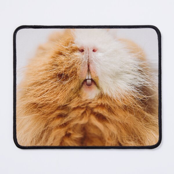 Item preview, Guinea pig designed and sold by alex-denada.