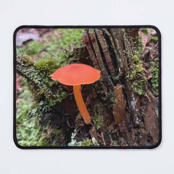 Item preview, Mushrooms of Maine designed and sold by lpollaro.