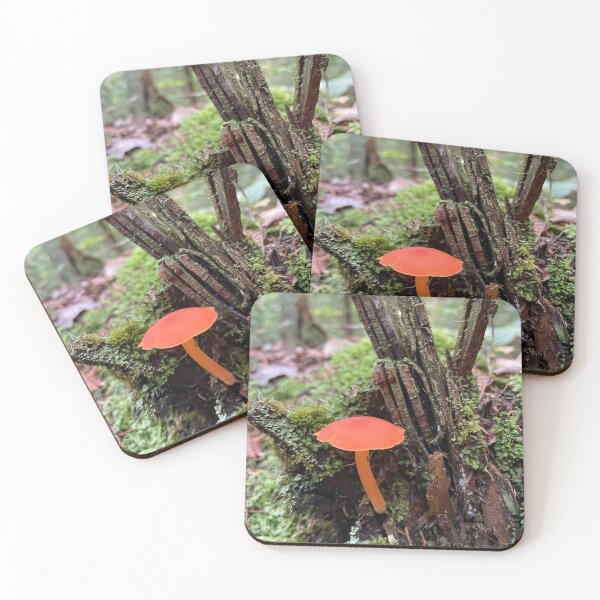 Item preview, Mushrooms of Maine designed and sold by lpollaro.