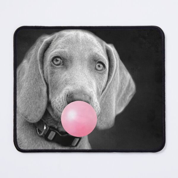 Item preview, Weimaraner Puppy with Bubble Gum 2 designed and sold by Elisabeth Lucas.